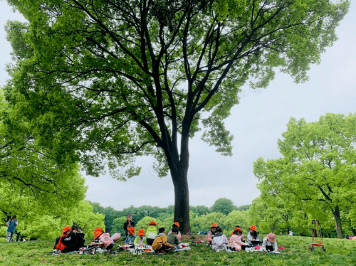 家长|喜讯！松江学乐星获IB正式认证！沪上近半IB园在育莘 Good News!