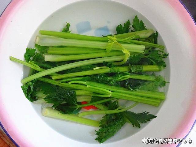 芹菜可以放冰箱过夜吗 c2398587cbab4cd8a06bbe40652fec97.jpeg