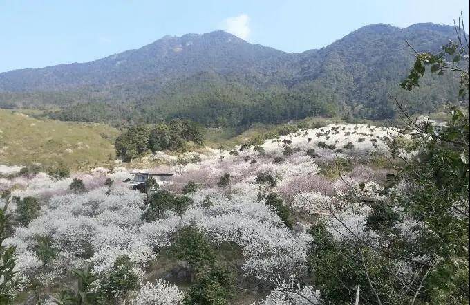 惠州旅游-惠州景点-惠州旅游网-大湾网丨广东梁化国家森林公园