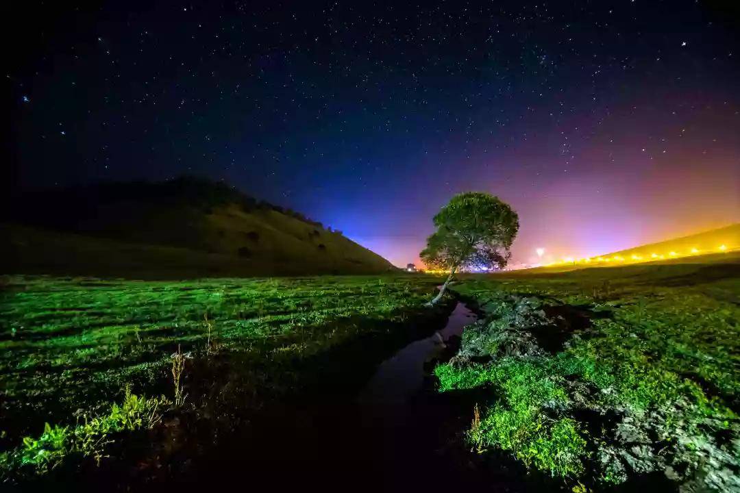 关山夜，星月满空琼草青！