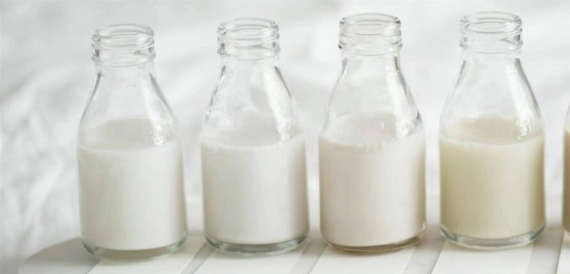 绿色牛奶叫什么名字 06ba33dc81874497a58911d3bdc2469c.jpeg