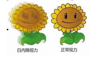 39e13c6e7fd340169d1ebc228272c6cc.jpeg