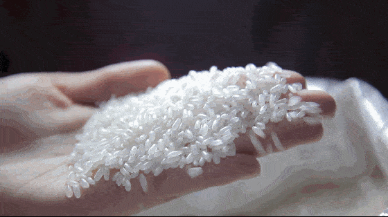 4dfd645f65734adda1c124f4dd464194.gif