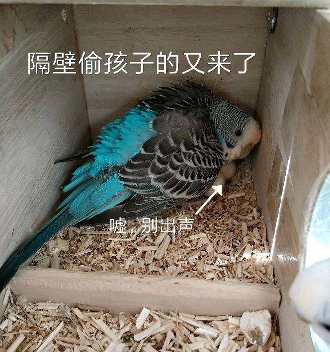 5828e47762624ab1b4f949cbb8f936b4.jpeg