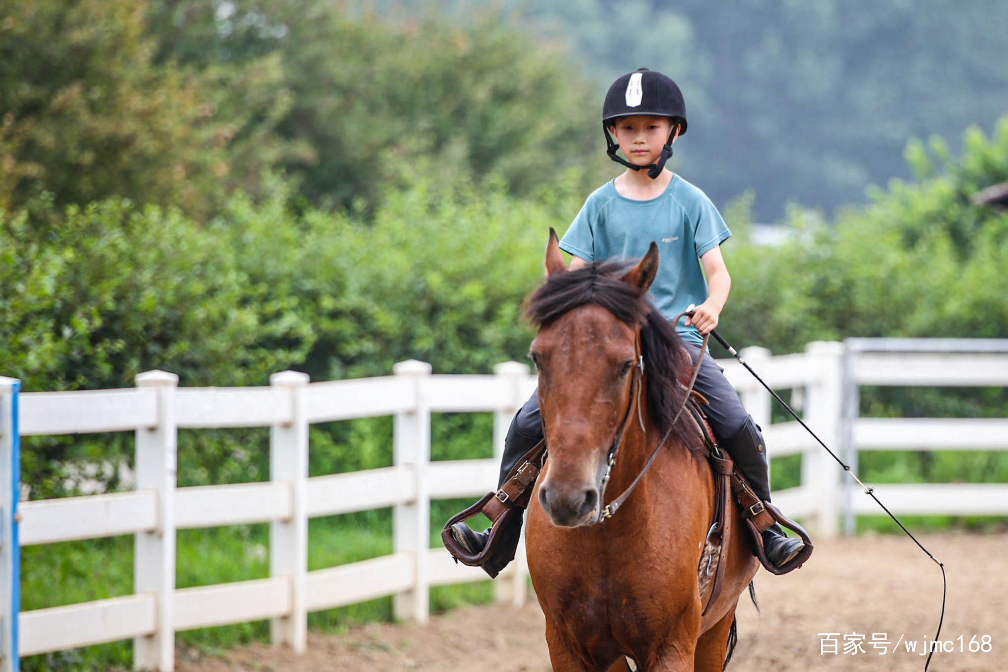 無疆牧場兒童馬術為315歲孩子平衡感完整發育提供保障