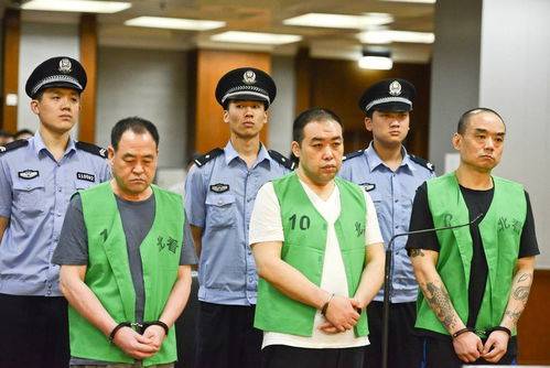 判决书显示,案发前,被告人孙某良(另案处理),孙某波,孙某安和杨某山分