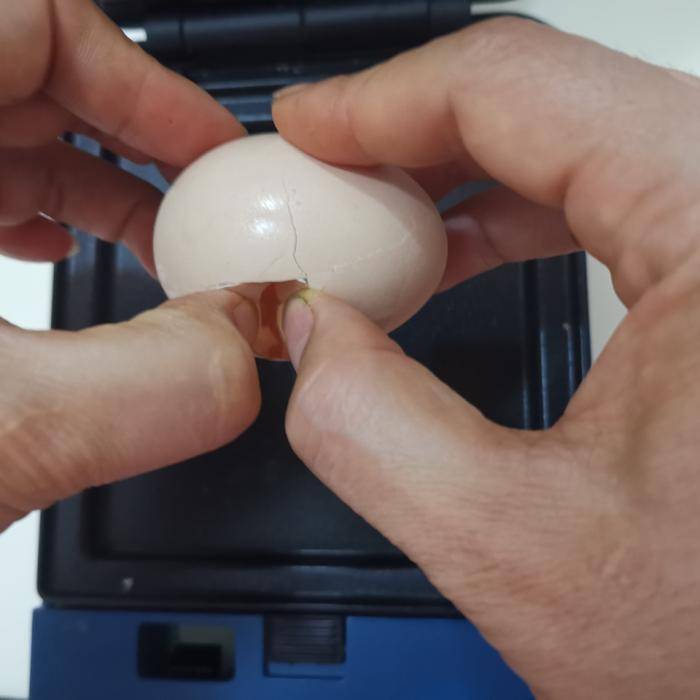 做法|早餐不知道吃啥？别急！分享一款零失败，好吃又简单早餐做法