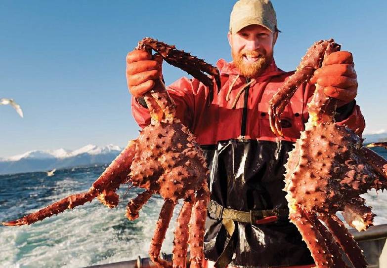 地区|这片海全是帝王蟹，小伙没船出海，一个大胆的尝试赚了