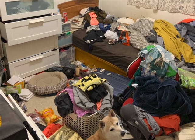 原创美育上海一美女住户室内杂乱无法出入3名整理师花8小时收纳