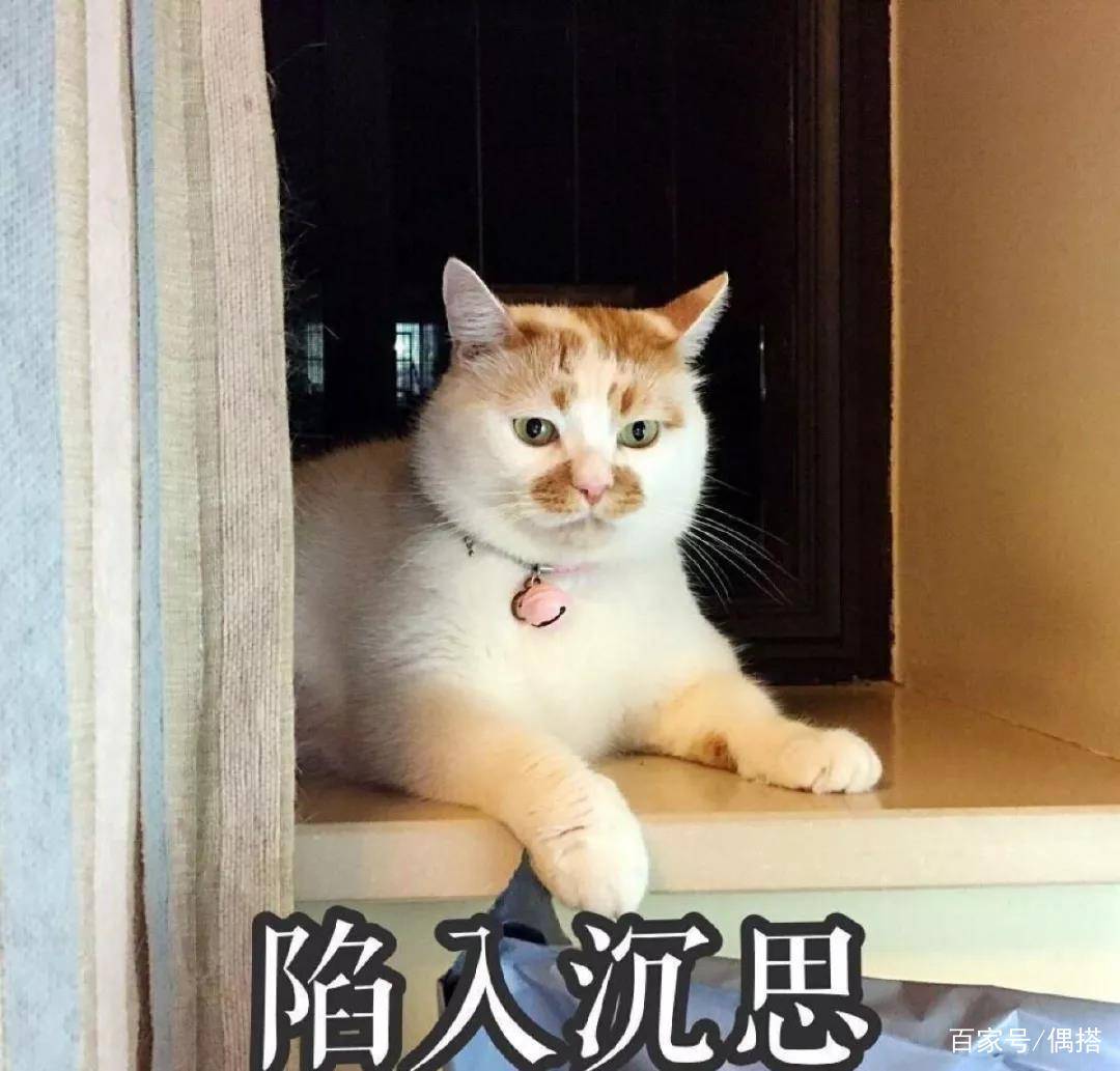 因为|有1说1，这里一定有你2021年需要的防脱洗护
