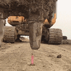 厕所|搞笑GIF：妹子，你跳的是真的好，忍不住看了好多遍