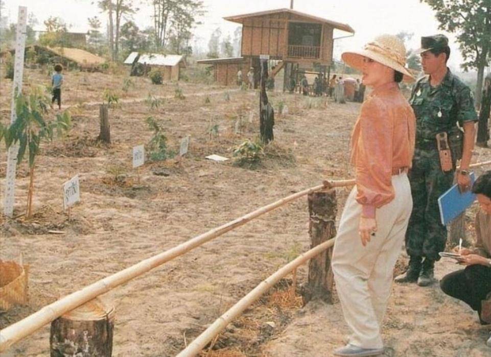 显得|诗丽吉年轻时穿休闲装亮相，显得她又矮又胖，还是紧身装适合她