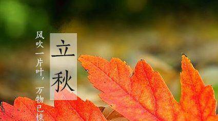 fa5362b308134c4ead70cf553cc47639.jpeg