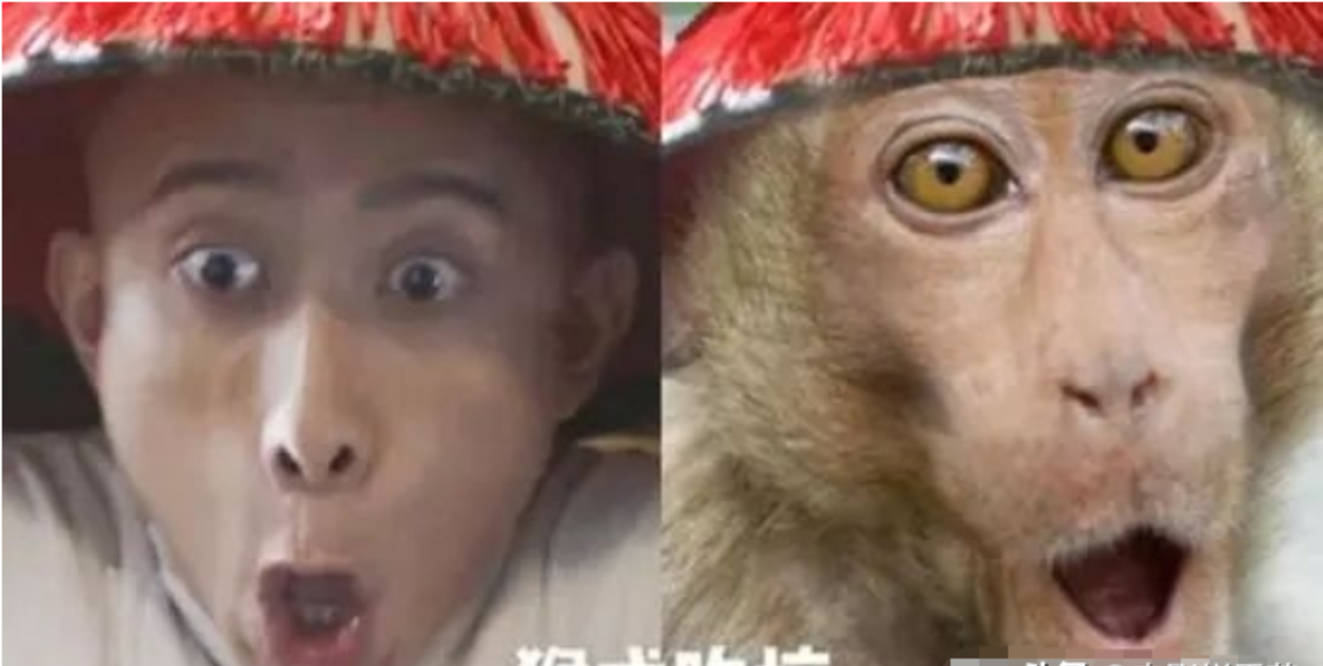 评分|2020年度十大烂剧，最高的4.4分，最低的只有2.5分？