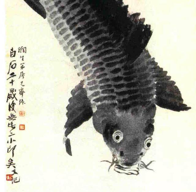 齐白石早年绘制的鲤鱼图齐白石传人少白汤发周说时间似有商榷之必要