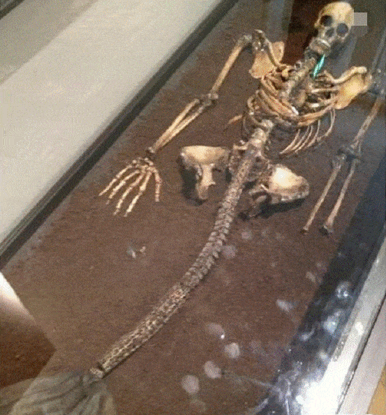 45b5f192df1a4dd58b0ed578b45231bf.gif