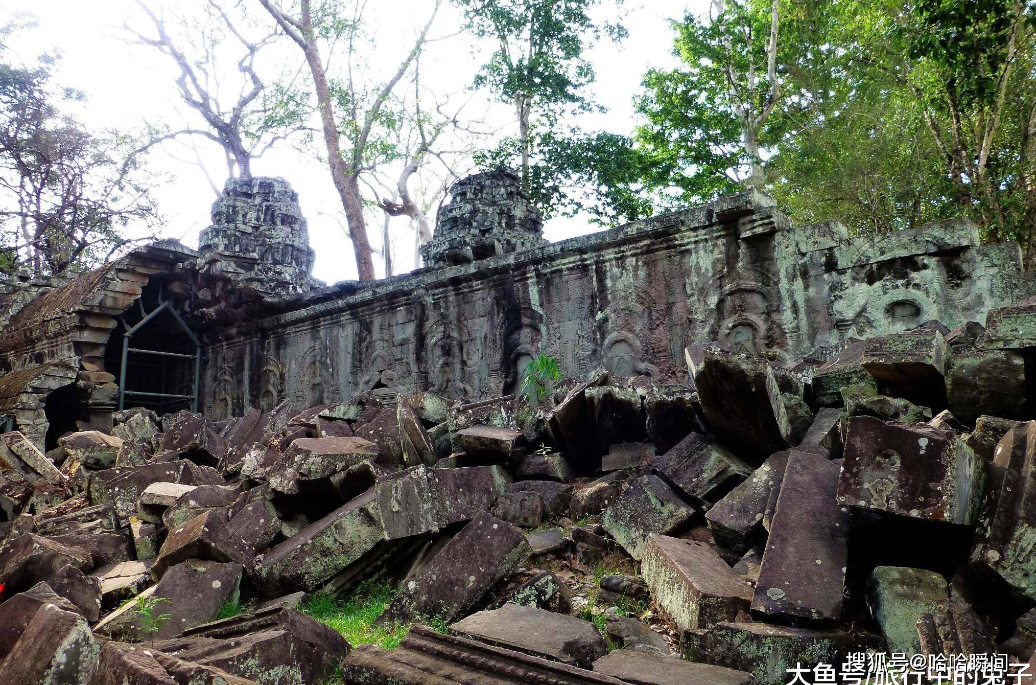 古树参天，如巨蟒般缠绕着一座寺庙，《古墓丽影》取景地