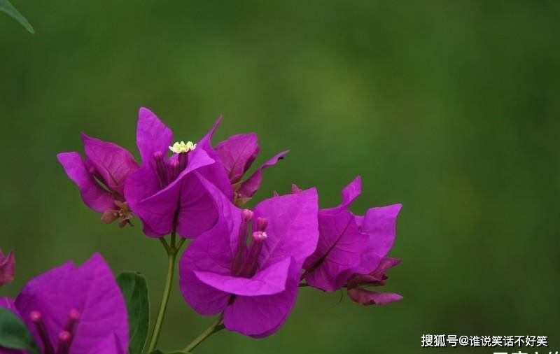 9月28日星座运势霸气回归 谋有所成的四大星座 脱单会