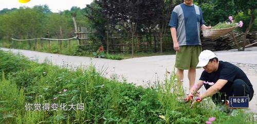 黄磊教|黄渤再登向往的生活，观众却始终没能等到男人帮重聚