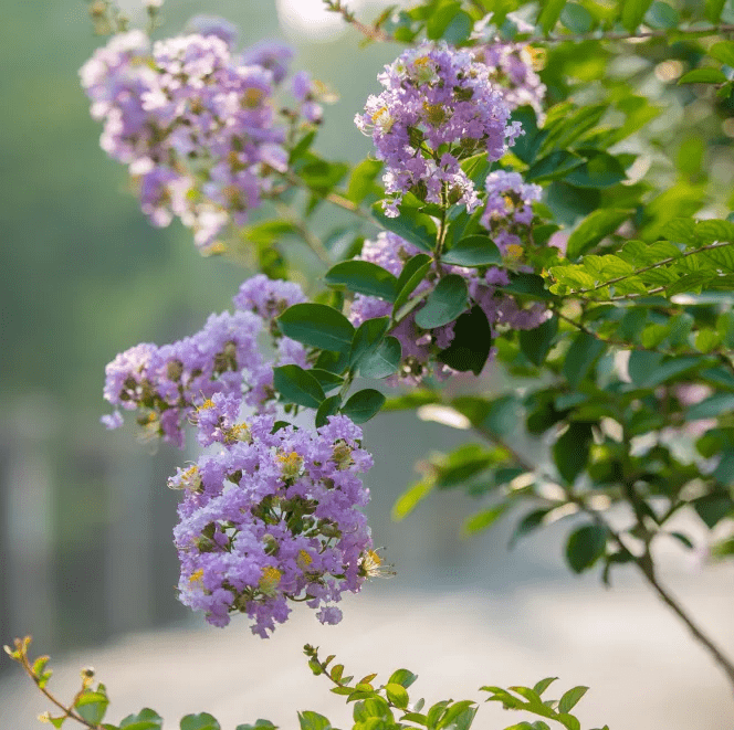 摄影|花式避暑，一见“清”心！只需一瞥，便足以把酷夏原谅…