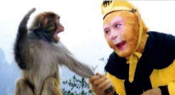 西游记妖怪排行_西游记妖怪武力排名无责任分析报告