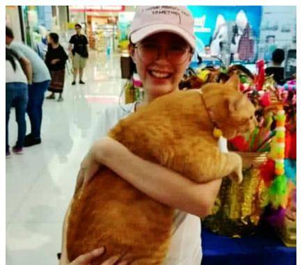 小姐姐带着橘猫去商场，发现周围人看自己，低头一看，瞬间明白了
