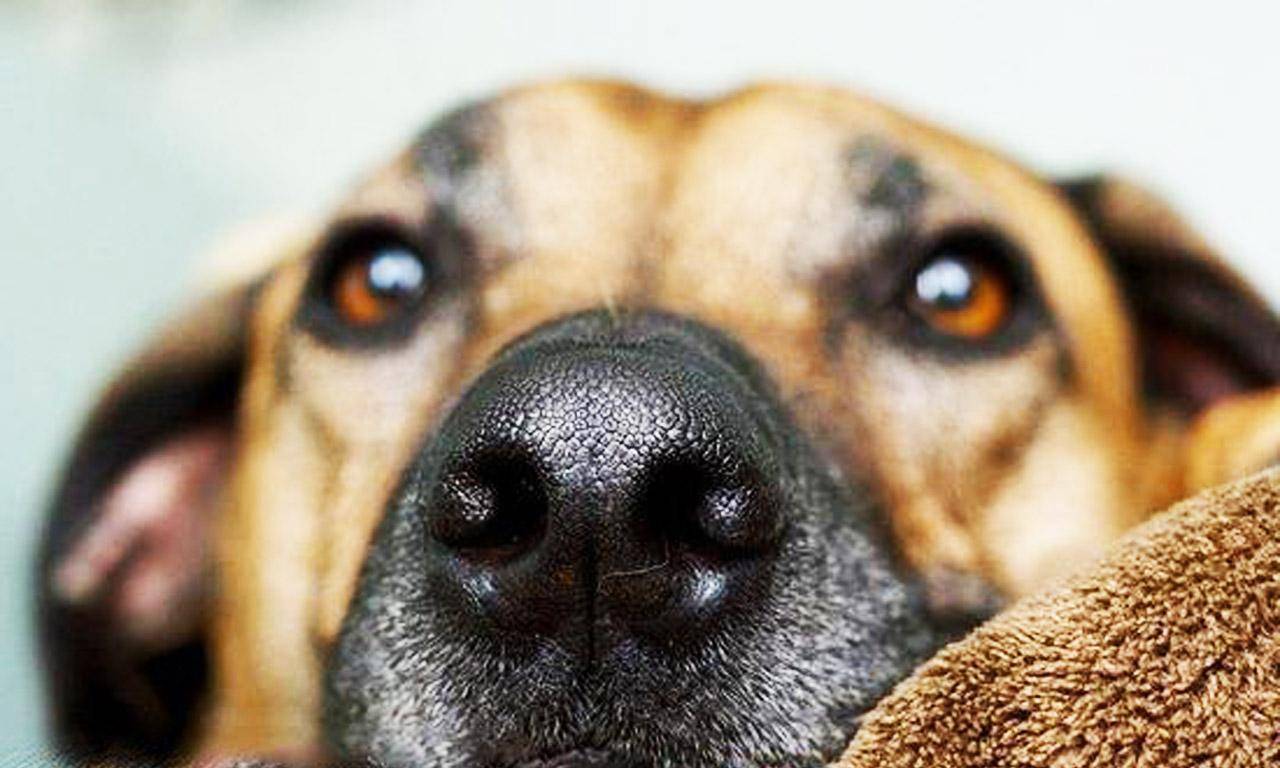 760d54e0f6ce448d91d7f9e7f4696600.jpeg