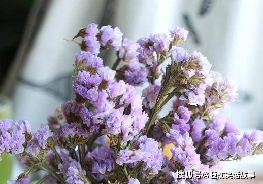 谁是这8属相之一就恭喜了 6月好运花落你家 贵人相助共赢富贵 事业