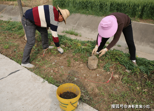 acc9affad80a400f81d5d896b5755aff.png