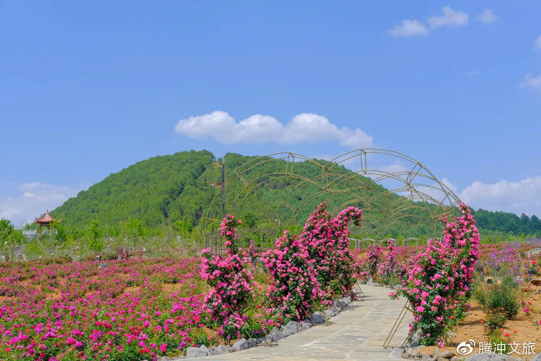 自然环境|暑期游丨轻松一夏，快来get腾冲火山热海玩美攻略！