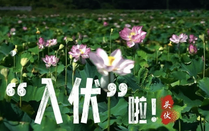 e5d2eb5596f440c7b9b2cf5b8432f0a5.png