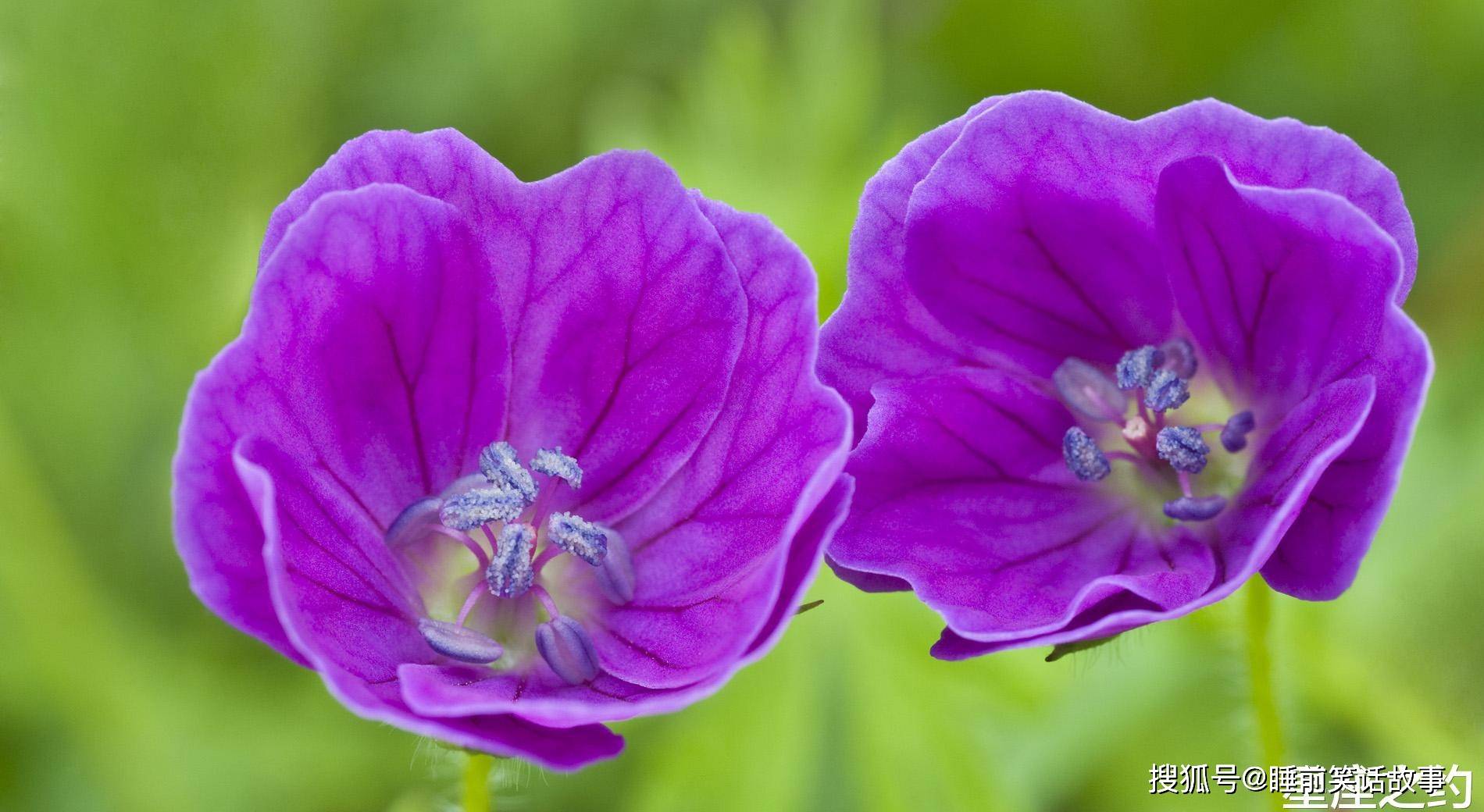 11月25日星座运势 巨蟹座目标清晰 双鱼座随机应变 工作