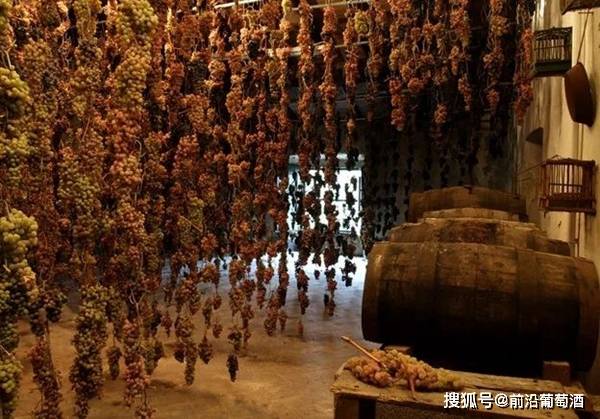 葡萄|意大利圣酒,科普最常见的100种葡萄酒佳酿之一的意大利圣酒!