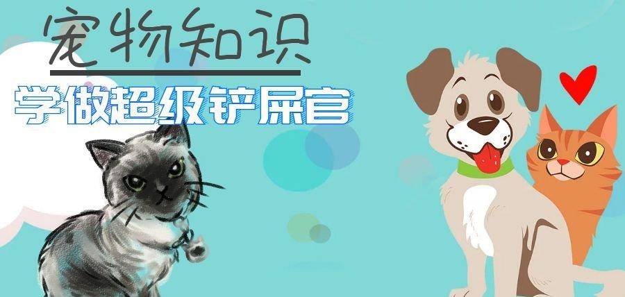 因为|这么多人喜欢柯基，原来是这些原因，估计铲屎官都想不到