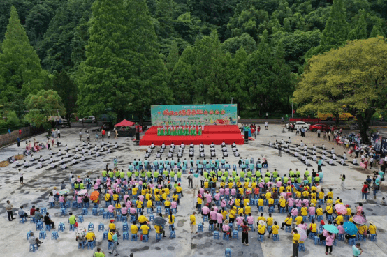 福建三明：夏日文旅康养新“森”活