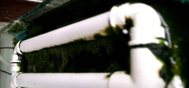 啥时候上冬水好 c2e5ac08fb2d4f50906bf2fceac9fc1f.jpeg