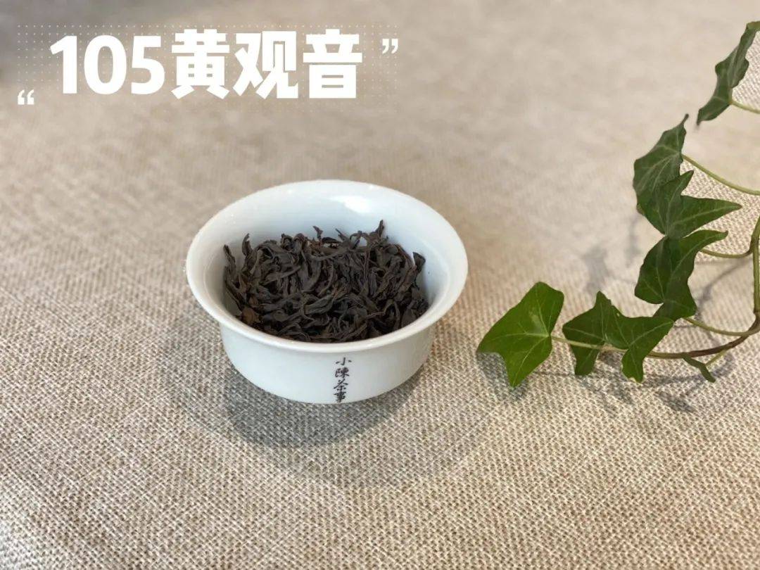 武夷岩茶圈子里老茶客常说的代号105到底是什么意思