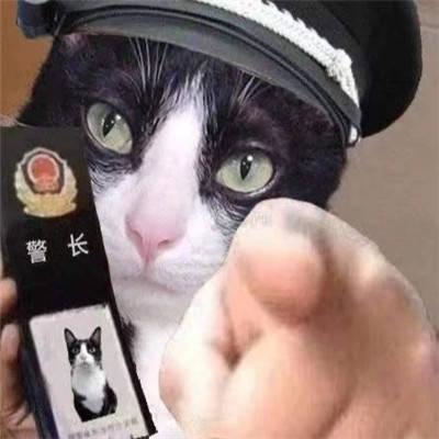 猫警察表情包图片