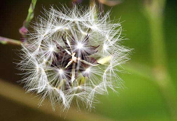 惹十二星座男生气了要怎么哄 处女要主动认错 射手不需要哄