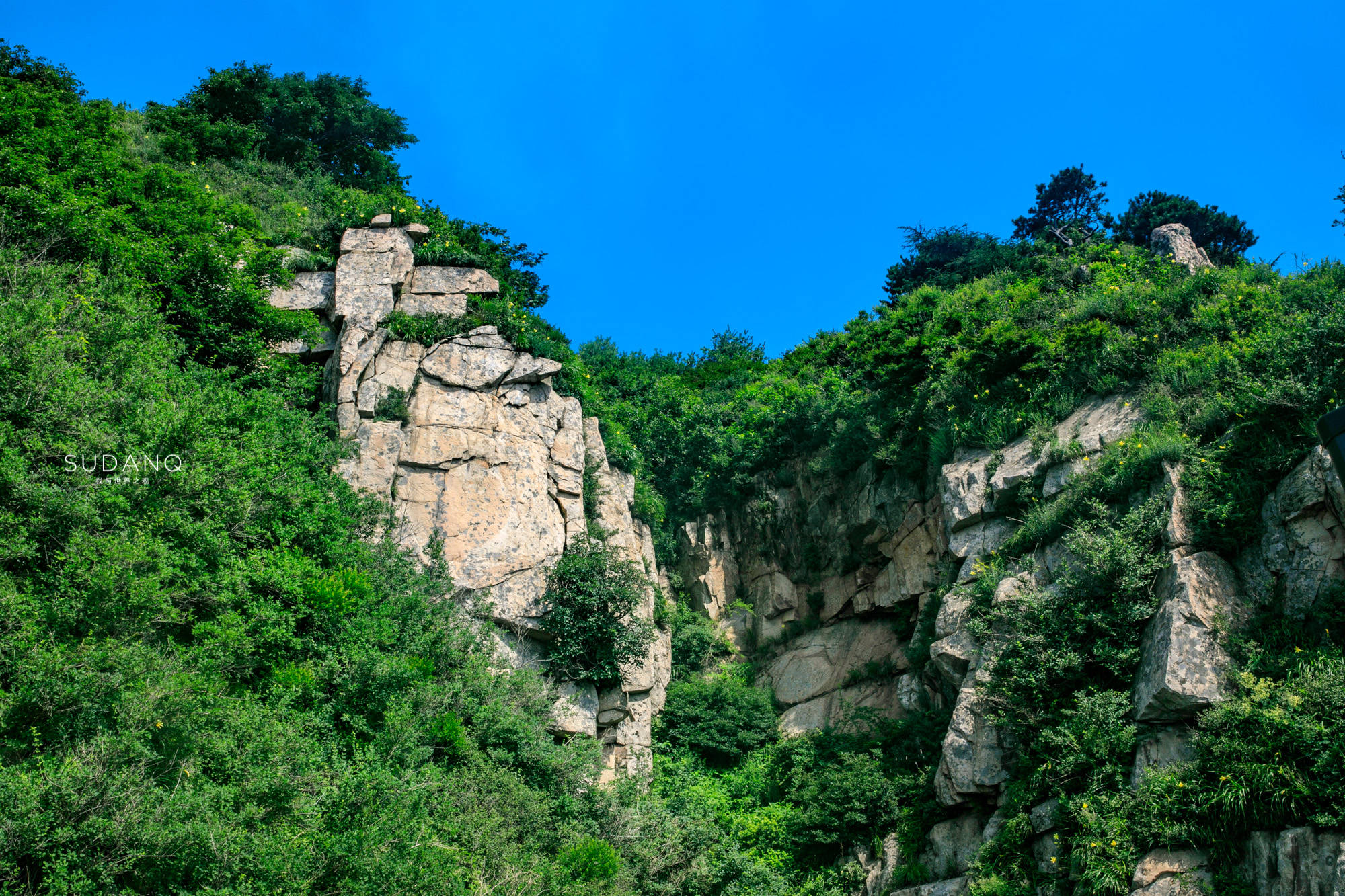 说法不一|泰山海拔那么低，为何成为五岳之首？当地导游说出了“真相”