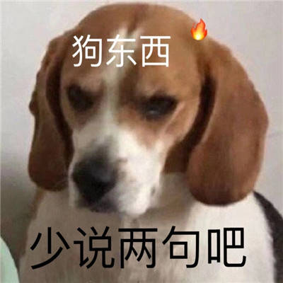 沙雕表情包我不是舔狗我是哥哥犬系女友