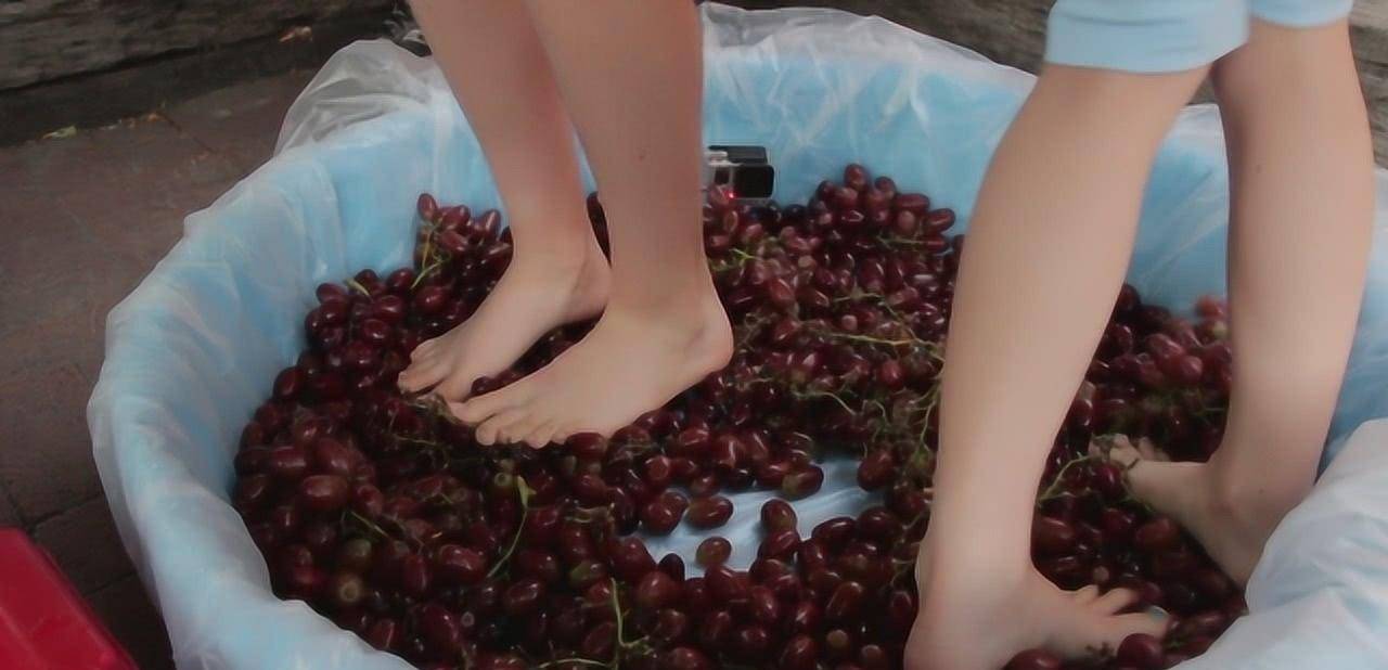 机器|为什么“少女光脚”能踩出顶级葡萄酒?原来有这好处,真是涨见识