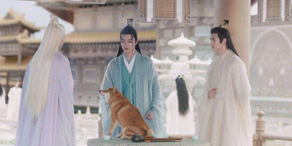 因为|《千古玦尘》结局，凤染和东华，成为最大赢家