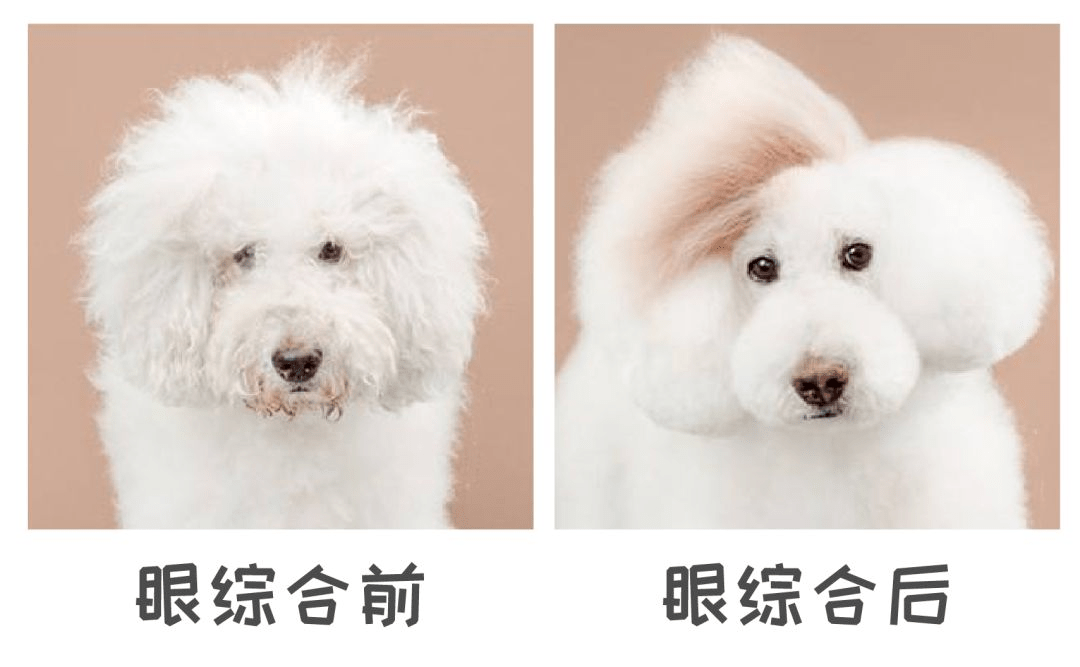 冲鸭|全网独家！医美人微信专用表情包！