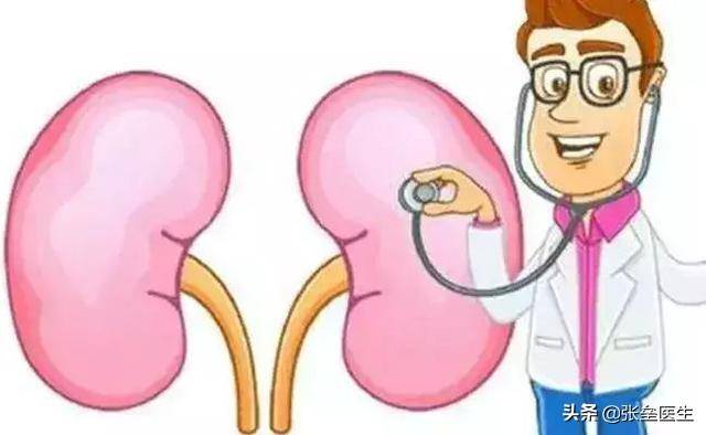 治疗|都说肌酐升高代表肾出问题?肾内科医师解释给您听,快快收藏起来