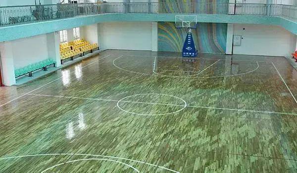 市桥热门小学地段划分_番禺区的学校_番禺热门公办学校分布
