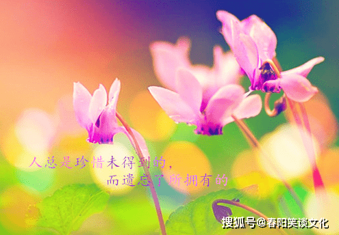 三月十三号是啥星座 44650542d08b45b5b479c1a893ec7f72.png