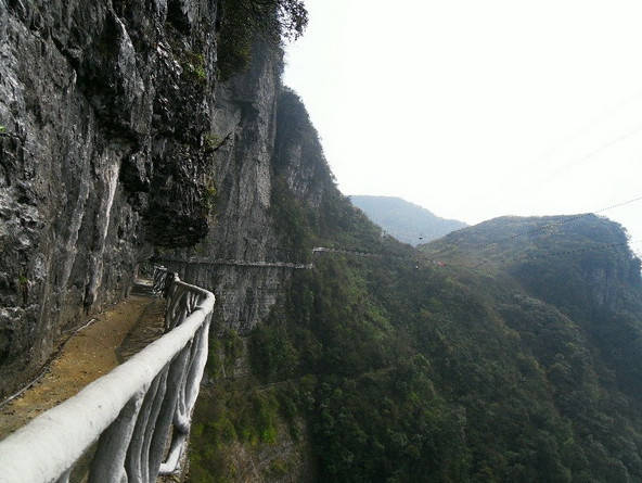 金佛山在西坡乘坐索道上山，就有一股清新扑面而来“山不在高，有先则名