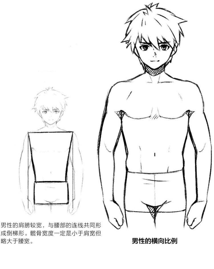 动漫人体比例怎么画怎样才能画好动漫人体比例
