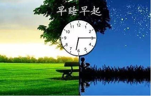 0b5c498c713d40b7a7a490ad36b55ec1.jpeg